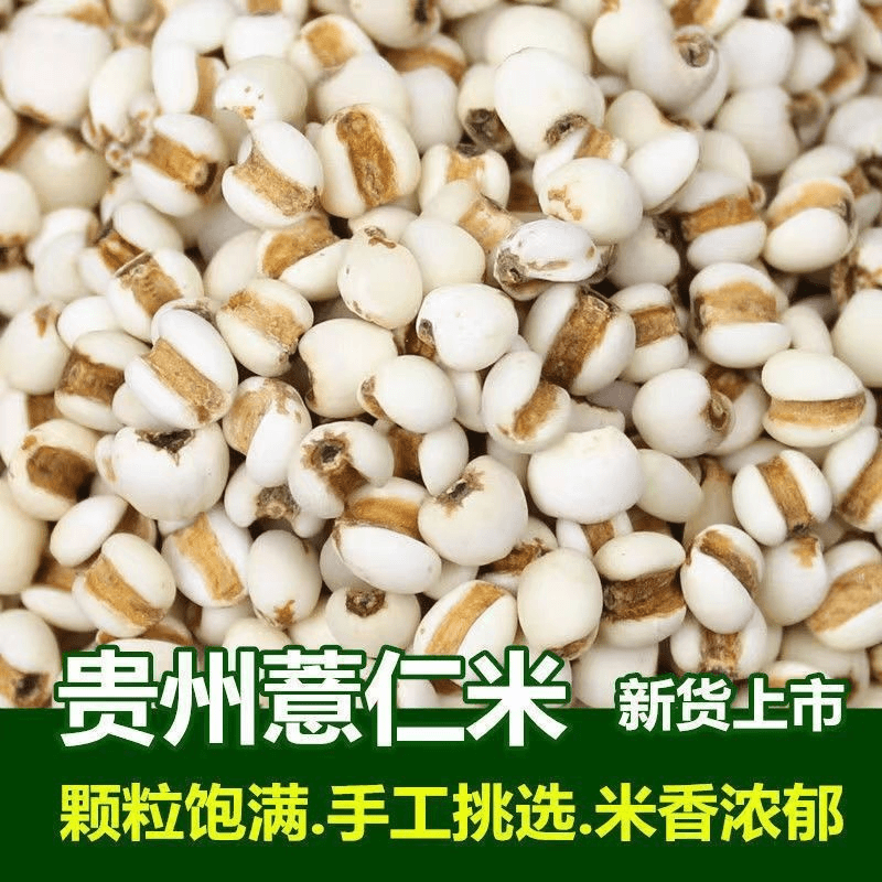 薏米仁薏仁米颗粒饱满香糯煮粥薏米仁小薏仁米