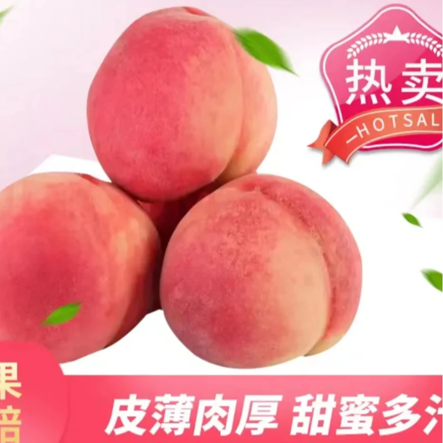泰安西洋蜜水蜜桃桃现采现发京东包邮4.5-5斤