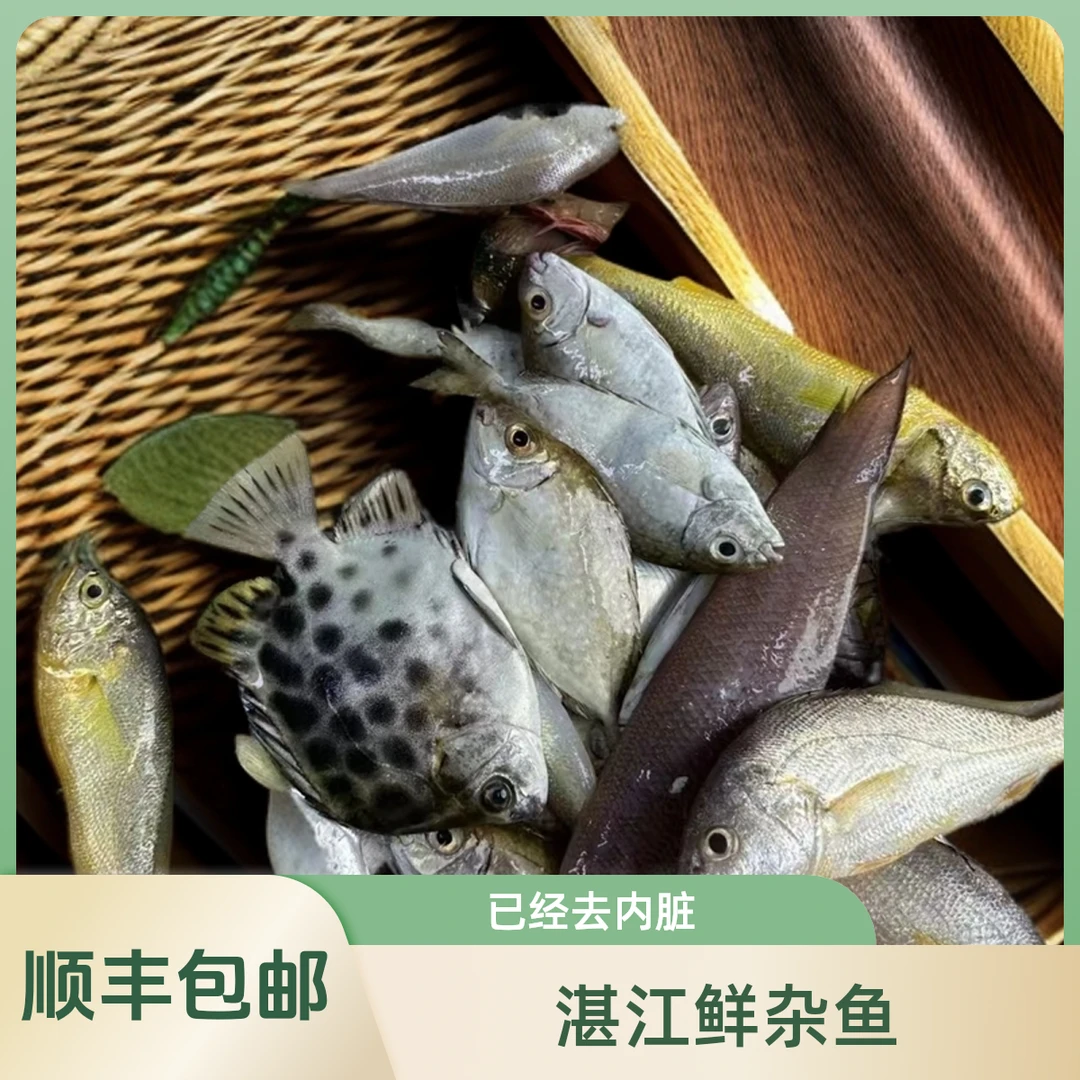 内港小杂鱼湛江鲜杂鱼海味去内脏煲汤杂鱼海鱼捕捞