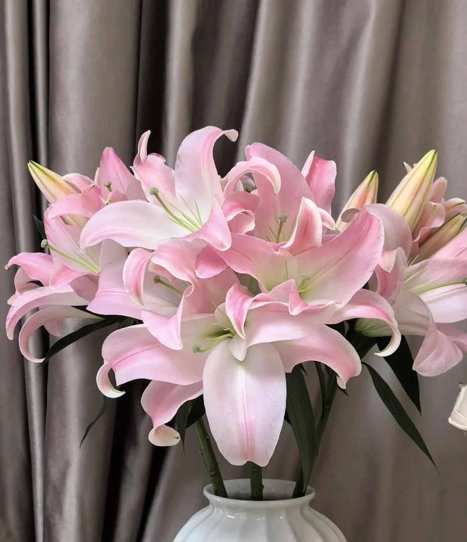 【星光】星光香水百合 | 全场任意满两单鲜花顺丰包邮（早市直播）