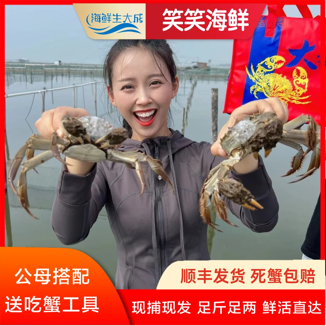 【公母对半】鲜活饱满大闸蟹 公4.7-5.0两 母3.7-4.0两 赠吃蟹工具
