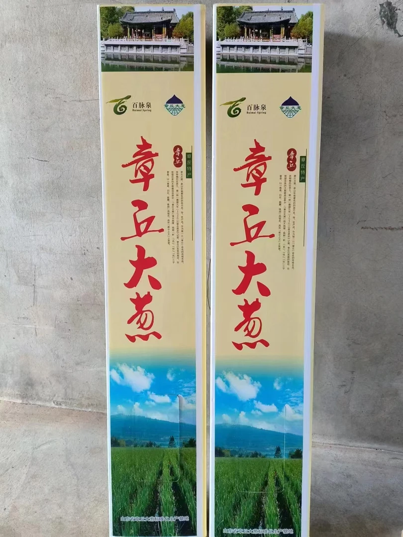 正宗章丘大葱 章丘特产高白脆甜