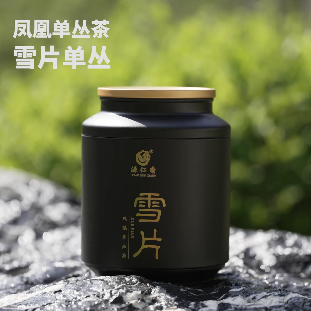 潮州凤凰山核心产区冬季采摘雪片鸭屎香潮州特产凤凰单丛茶