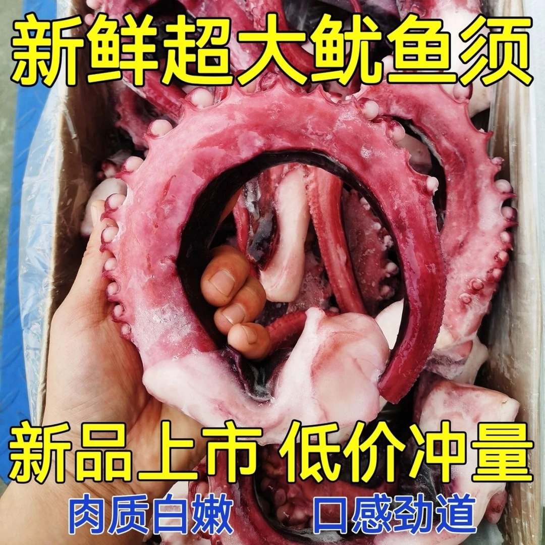 大号鱿鱼须批发章鱼须超大刺身章鱼商用冷冻鱿鱼爪章鱼小丸子食材