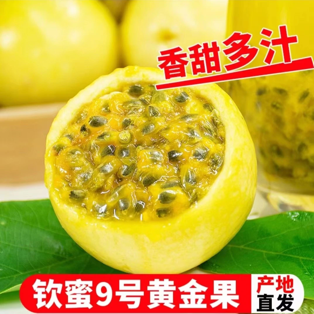 钦蜜9号黄金百香果新鲜应季多汁香甜皱皮果肉籽（10枚/小果）500g