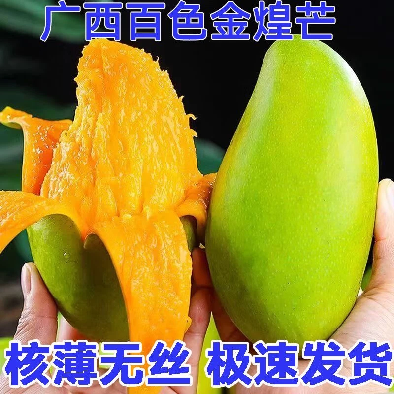 Z【主播推荐】正宗广西百色青皮金煌芒芒果新鲜水果5斤整箱包邮批发