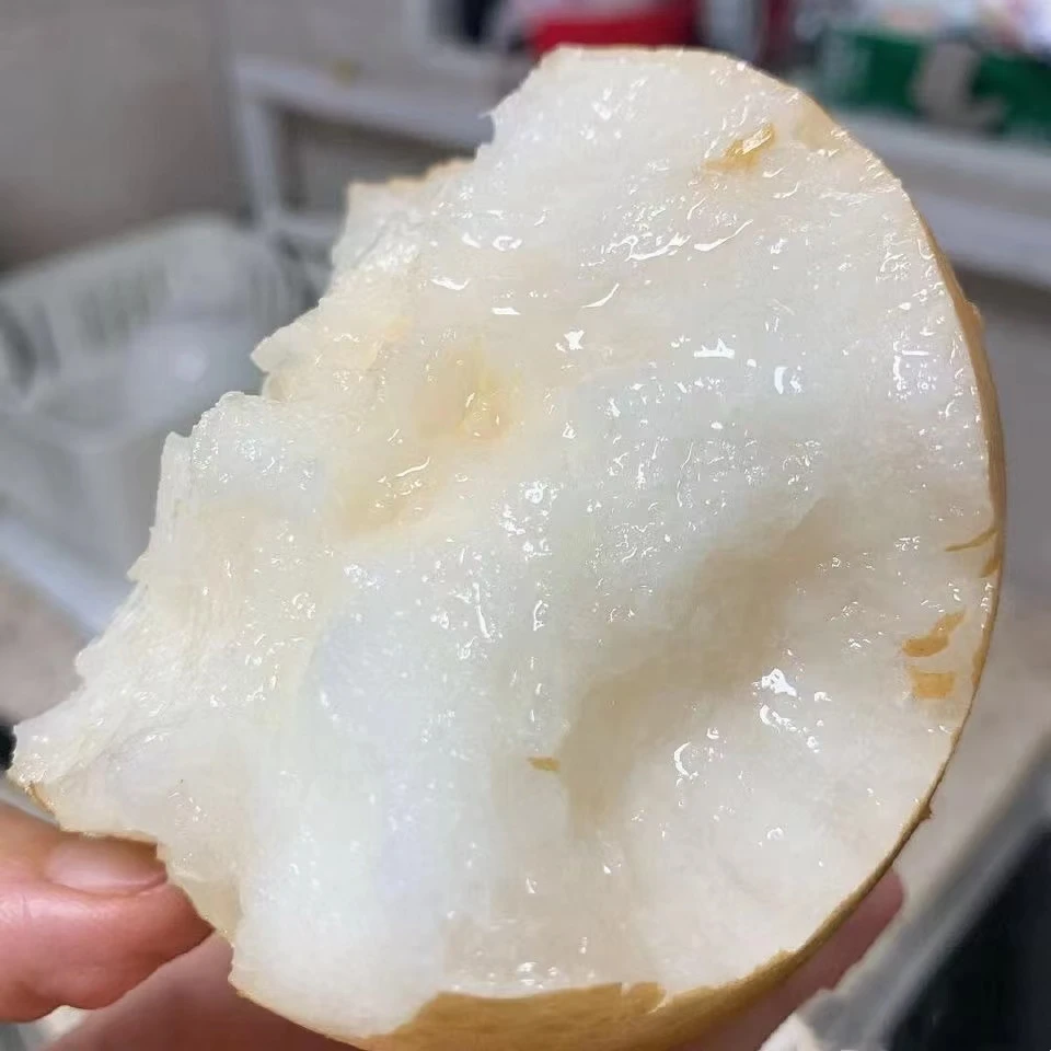 山东爆汁脆甜秋月梨净重4.5斤装