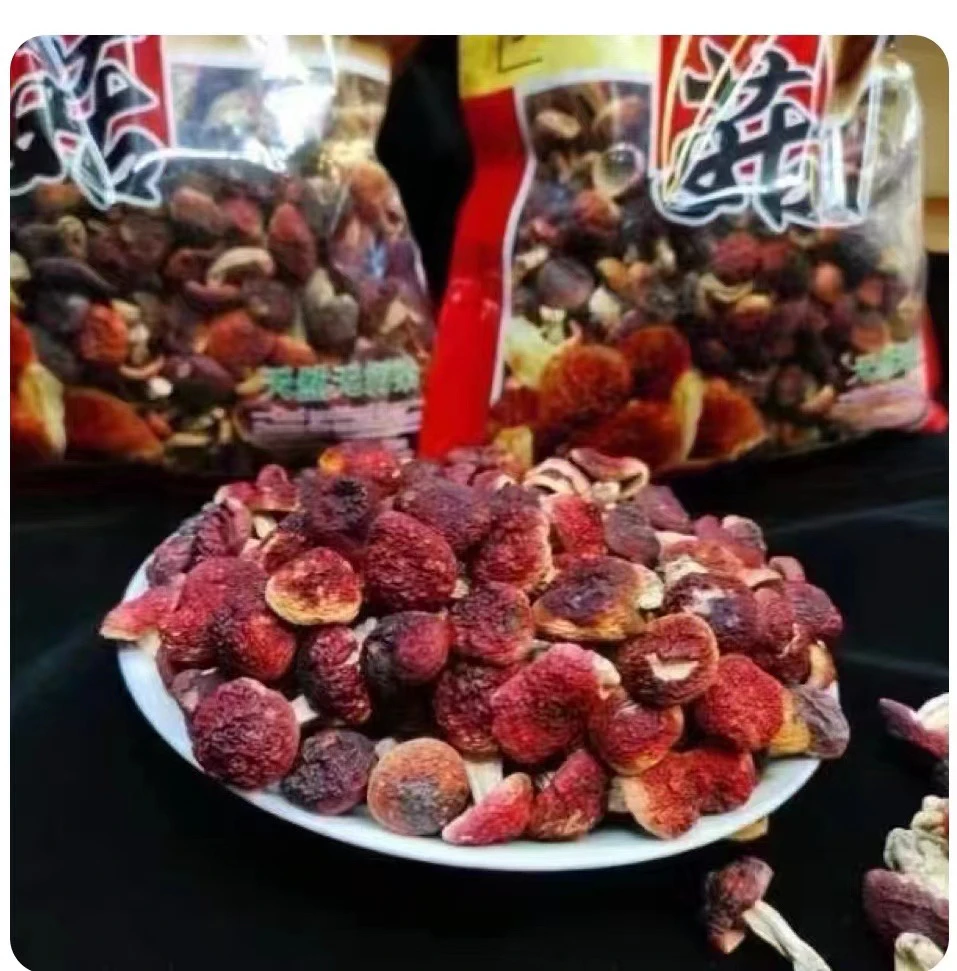 【雪润堂】野生红菇