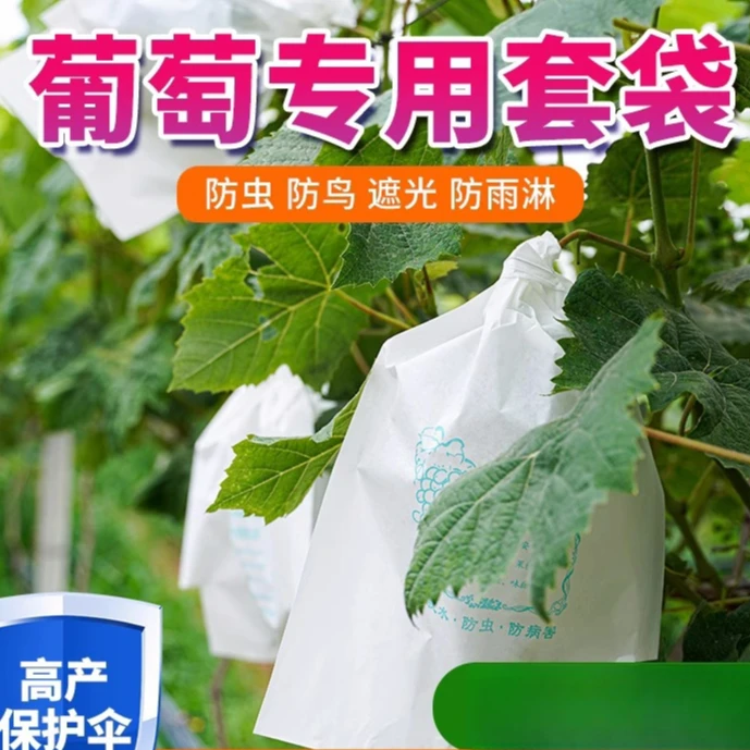 葡萄套袋专用保护袋防虫防鸟袋子水果用套袋果袋侧开门包葡萄纸袋