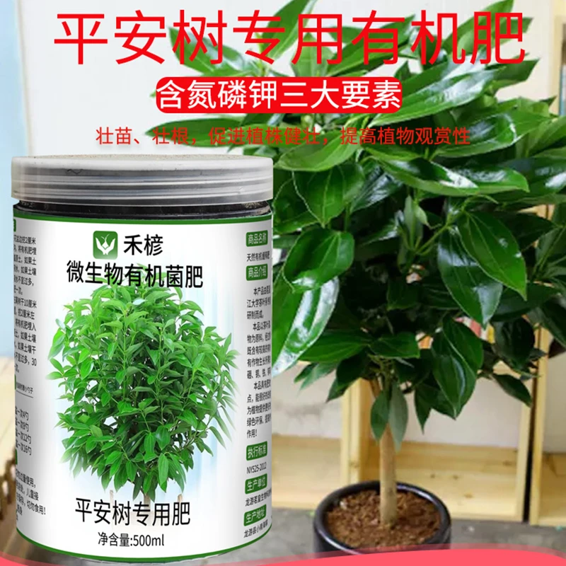 平安树专用肥兰屿红头大叶肉桂养料土培缓释肥客厅盆景室内有机肥