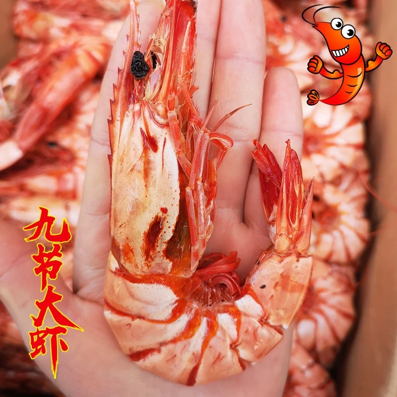 【顺丰】宁波舟山干虾开袋即食原味烤虾解馋零食大对虾+九节虾