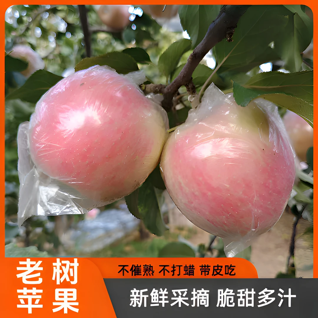 山西运城红富士苹果整箱包邮脆甜多汁冰糖心产地直发新鲜应季水果