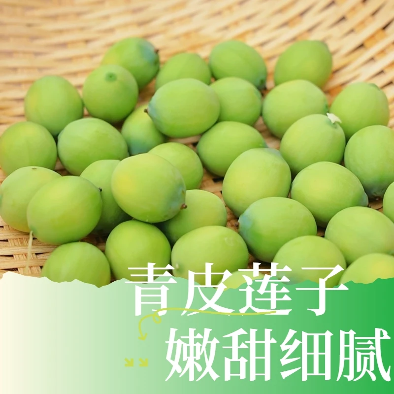 2【顺丰包邮】鲜莲水果莲米颗粒饱满现摘现发鲜水果莲嫩甜鲜甜莲子