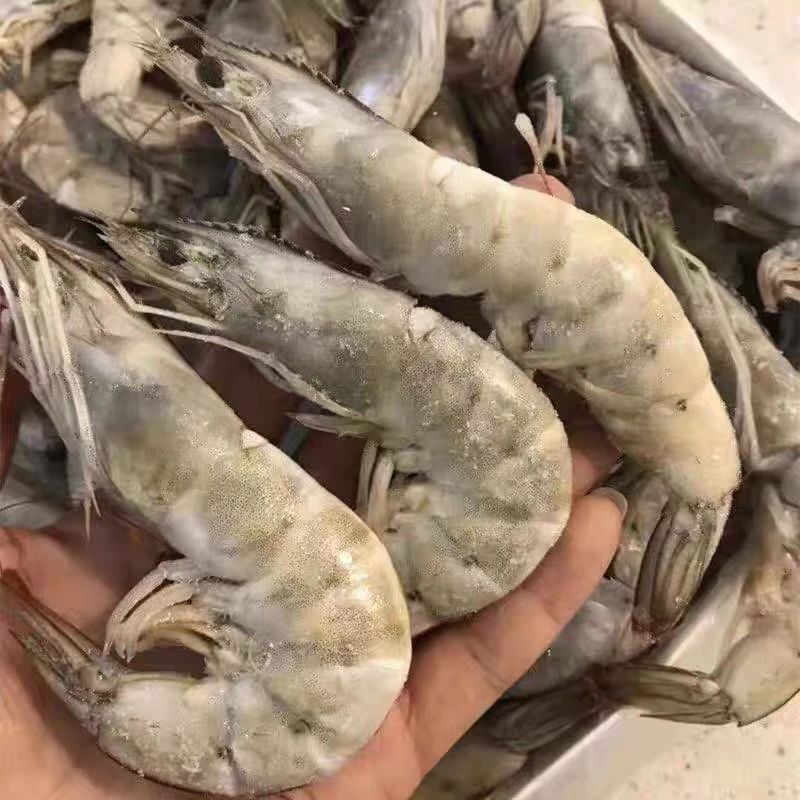 40青虾5斤西宁同城配送