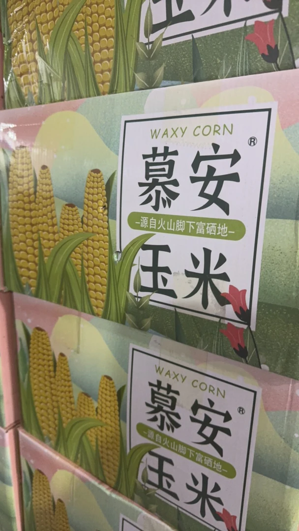 慕安黑玉米一箱18根西宁同城配送
