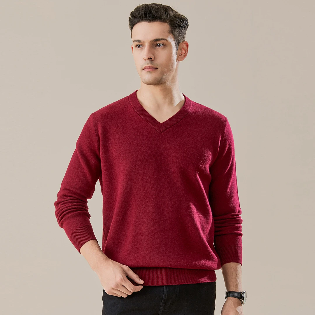 【100%绵羊毛】男式羊毛衫24DAK0597