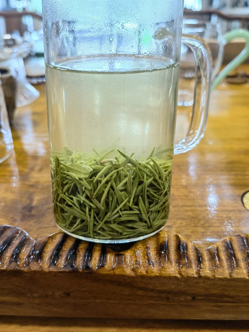 2025信阳毛尖二采春茶小芽