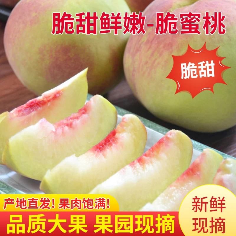 【5斤特卖】清江脆蜜桃新鲜现摘果园直发