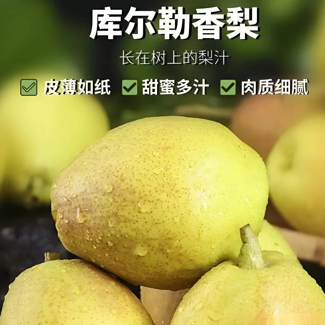 新疆库尔勒香梨皮薄脆甜爆汁细腻现摘现发原产地新疆库尔勒直发