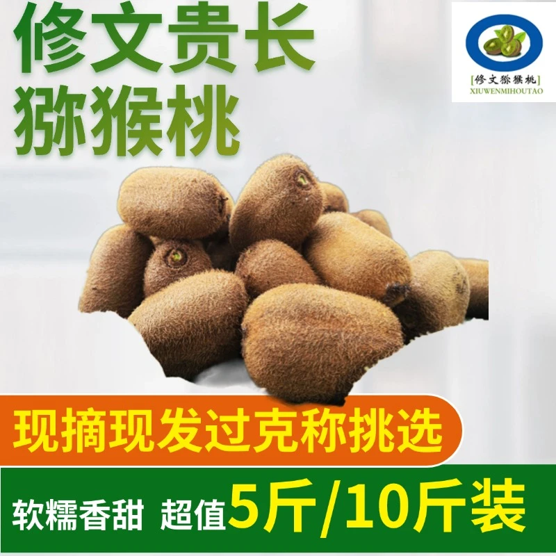 单果100以上特大果盒装净重5斤/10斤贵长修文