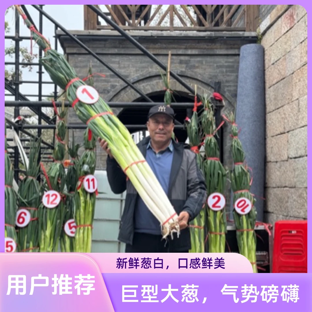 正宗山东济南章丘大葱甜葱特级脆甜蔬菜礼盒大梧桐产地直发特产
