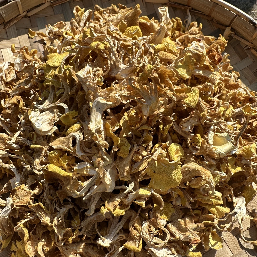 现收山货  鸡由菌  可搭配红枣    250g/500g