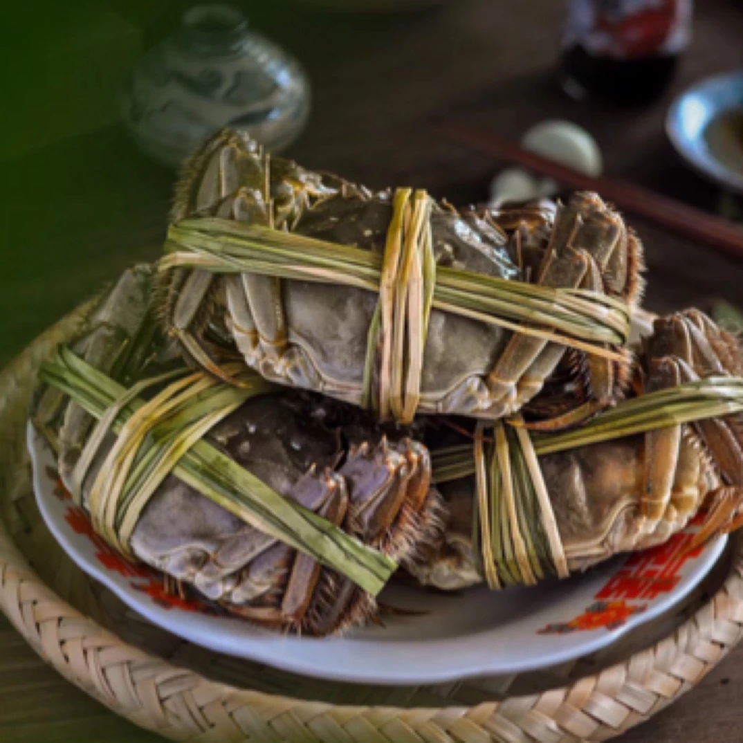 【活蟹全母】大闸蟹螃蟹（2.7-3.0两4只/6只|8只|10只装全母）顺丰