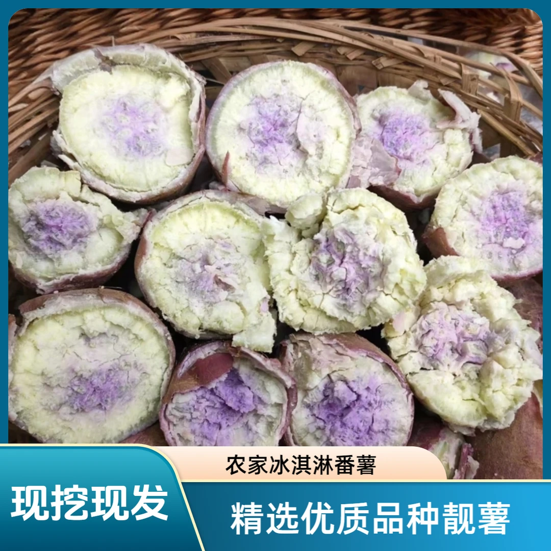 高州冰淇淋红薯一点红新鲜番薯现挖现发冰激凌地瓜紫心薯板栗薯