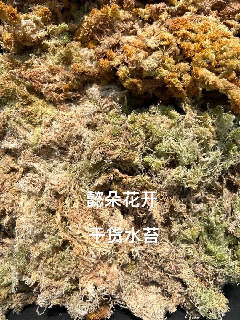 自产水苔
