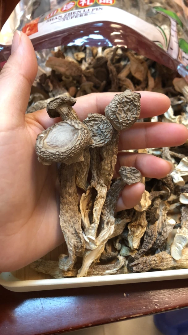 广东汕头 花胶美眉  鹿茸菇250克