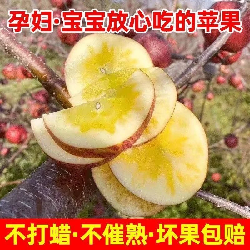 【5斤包邮】陕西秦冠粉面苹果2024年新鲜采摘果园直发商超精品A级果