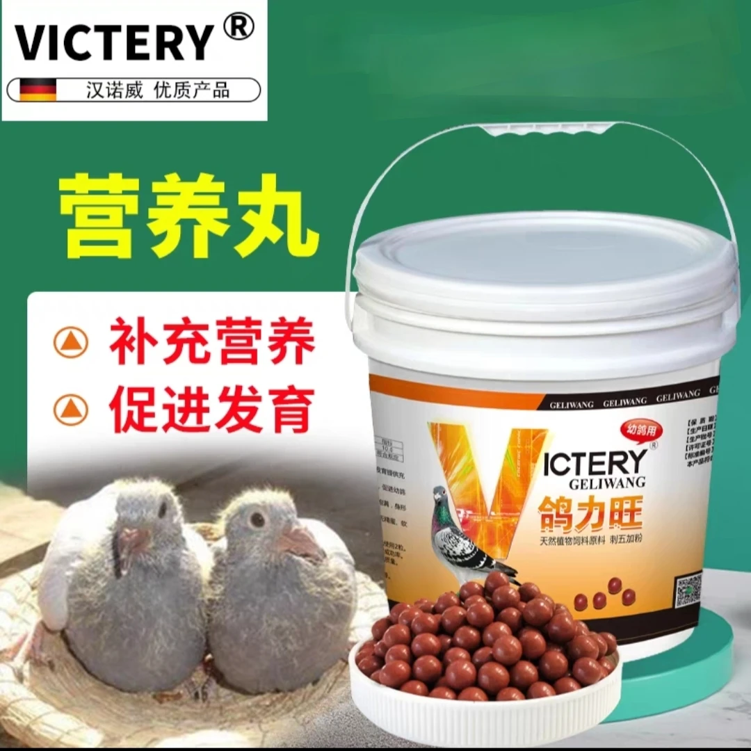 鸽力旺幼鸽夺霸丸育雏宝营养丸补充营养强壮骨骼鸽子专用保健品