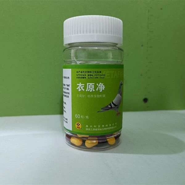 爱丽丝衣原净赛鸽信鸽用品(新老包装交替发货)