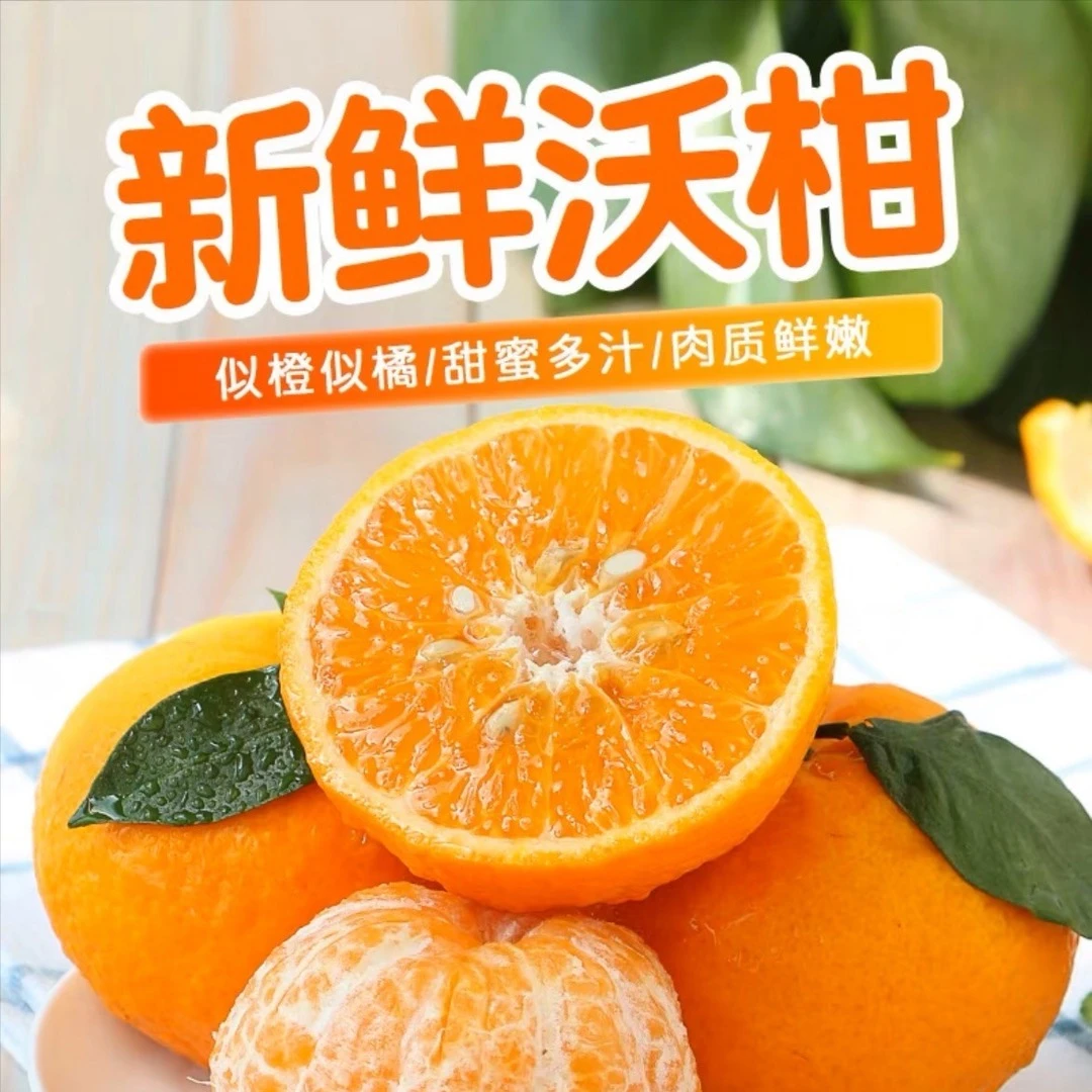 云南高原沃柑  5/9斤 新鲜当季皮薄多汁爽口 品质 现采现摘现发