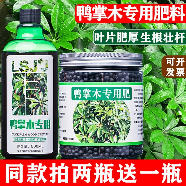 鸭掌木肥料专用肥鹅掌柴鸭脚木肥料盆栽营养液有机复合颗粒缓释肥