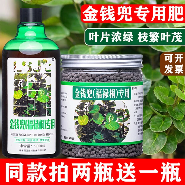 金钱兜肥料圆叶福禄桐专用肥盆栽营养液绿叶喷施肥有机复合颗粒肥