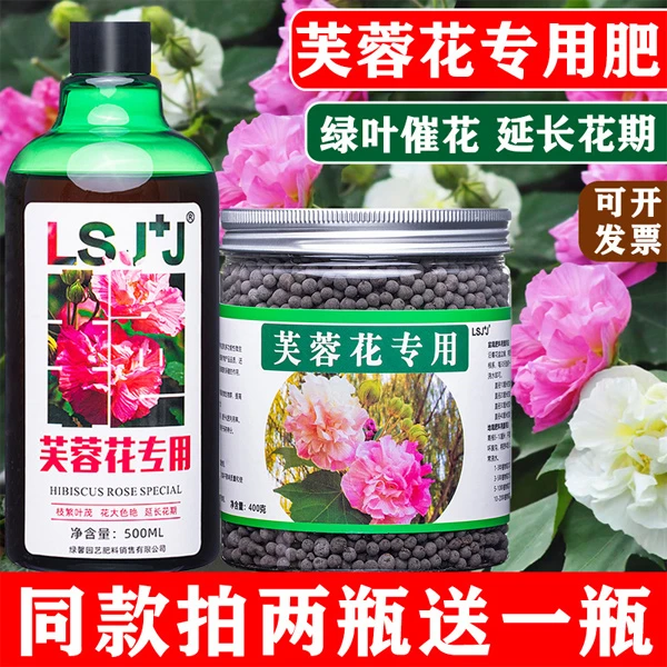 芙蓉花专用肥木莲肥料盆栽营养液有机家庭室内室外客厅华木开花苞
