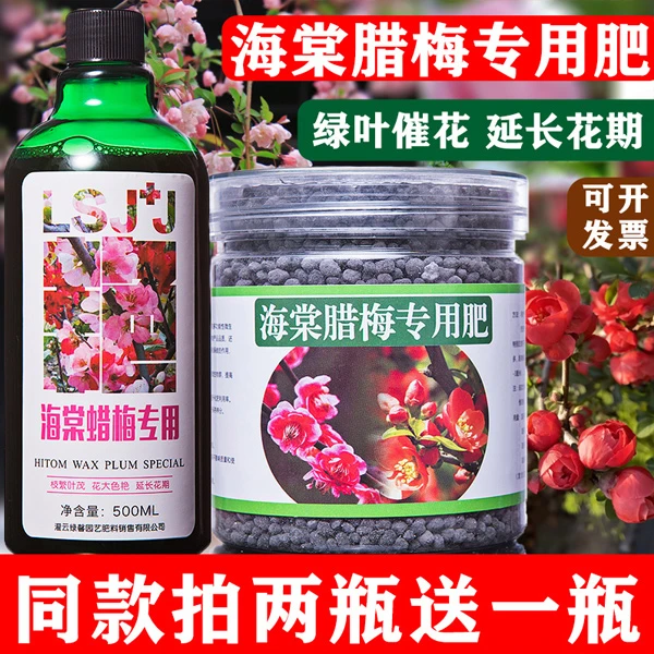 喵小铺海棠树腊梅花营养液专用肥水溶肥开花盆栽四季开花家用专用
