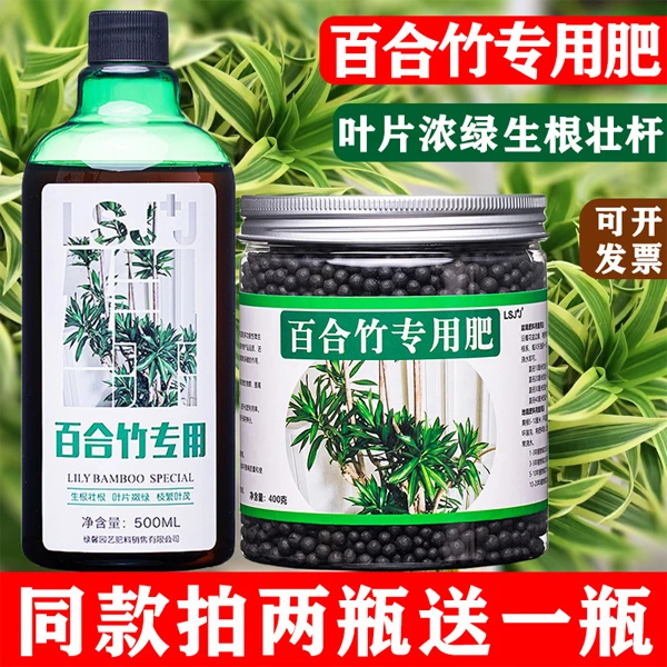 百合竹专用肥肥料金边金心百合竹营养液盆景有机肥四季家庭养料肥
