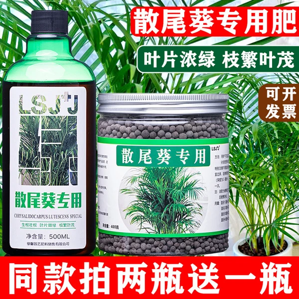 散尾葵肥料专用肥营养液凤尾竹室内水培植物养花肥料家用盆栽通用