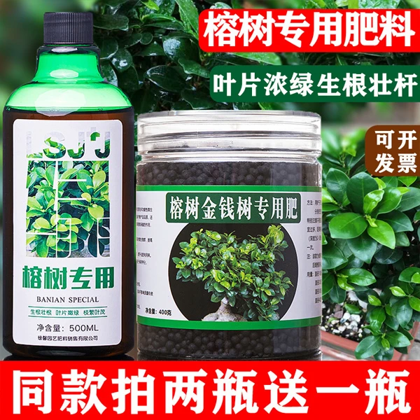 榕树肥料专用肥小叶榕肥料榕树营养液复合肥有机颗粒缓释肥通用型