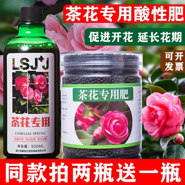 茶花专用营养液山茶花肥料适用树酸性有机肥缓释肥通用型烂根园艺