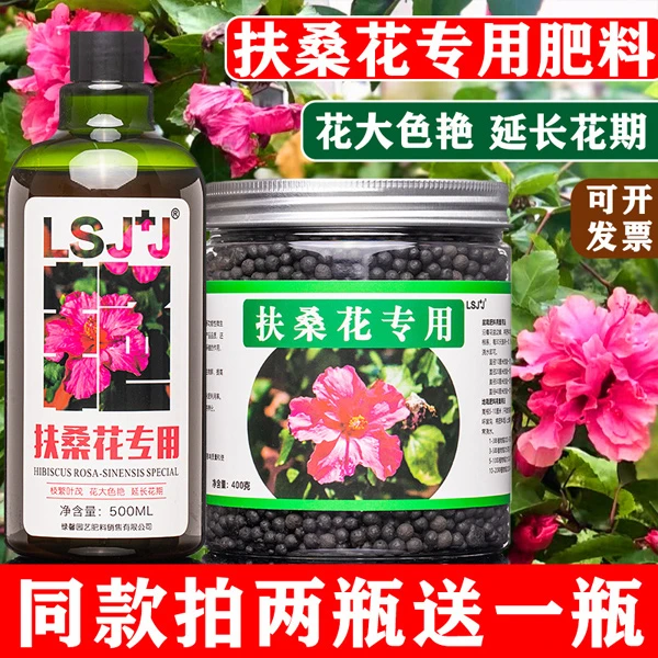 扶桑花专用肥料营养液朱槿肥料赤槿营养液扶桑喷叶状元红有机肥料
