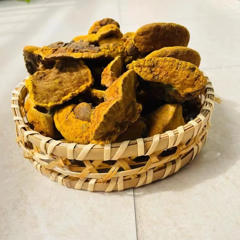 小季 正品高山 【山货老桑黄小】[可自行搭配枸杞食用]