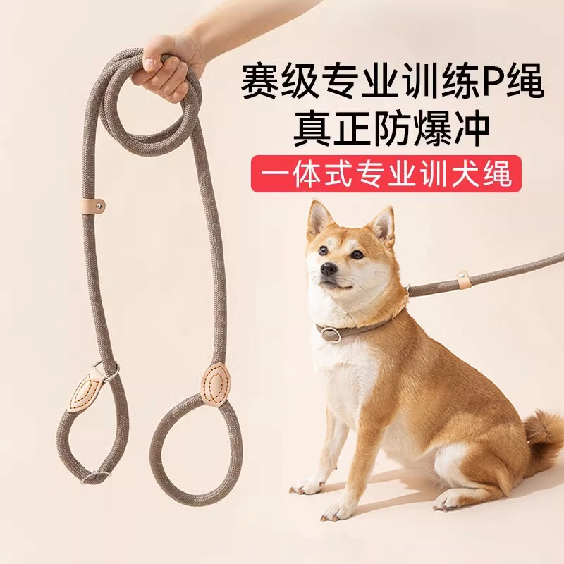 狗狗绳子防爆冲P链遛狗牵引绳防挣脱狗链子中大型犬防爆冲拴狗绳