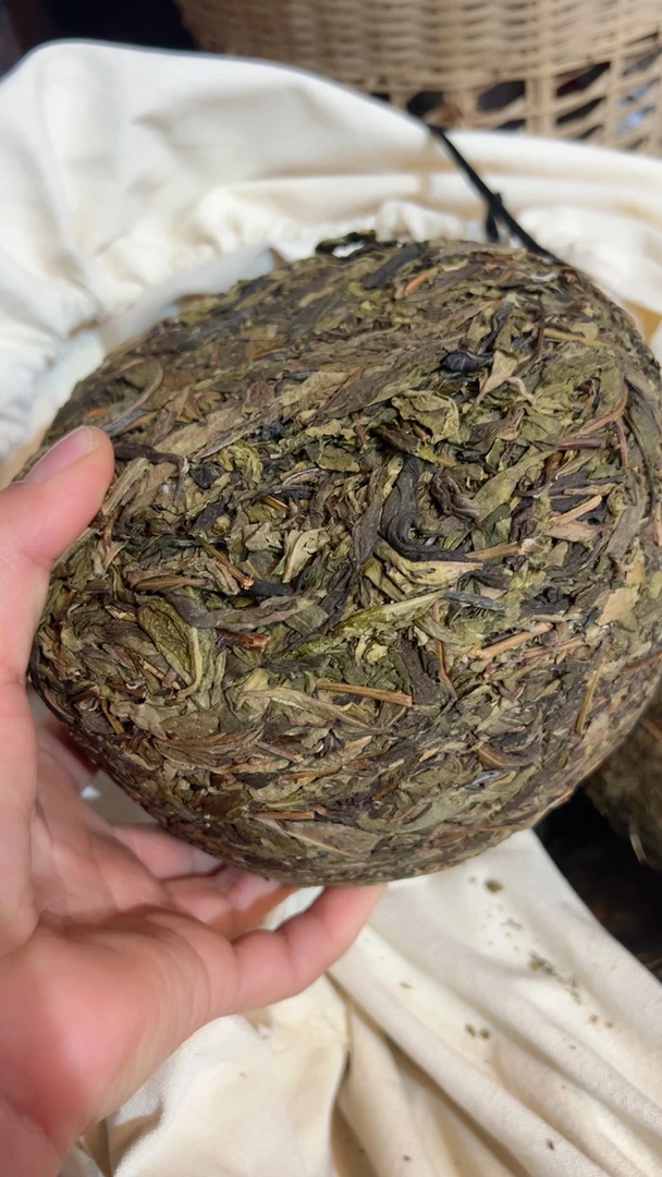 【昔归500克黄金叶大团】2022年昔归忙麓山料传统团茶.沱茶