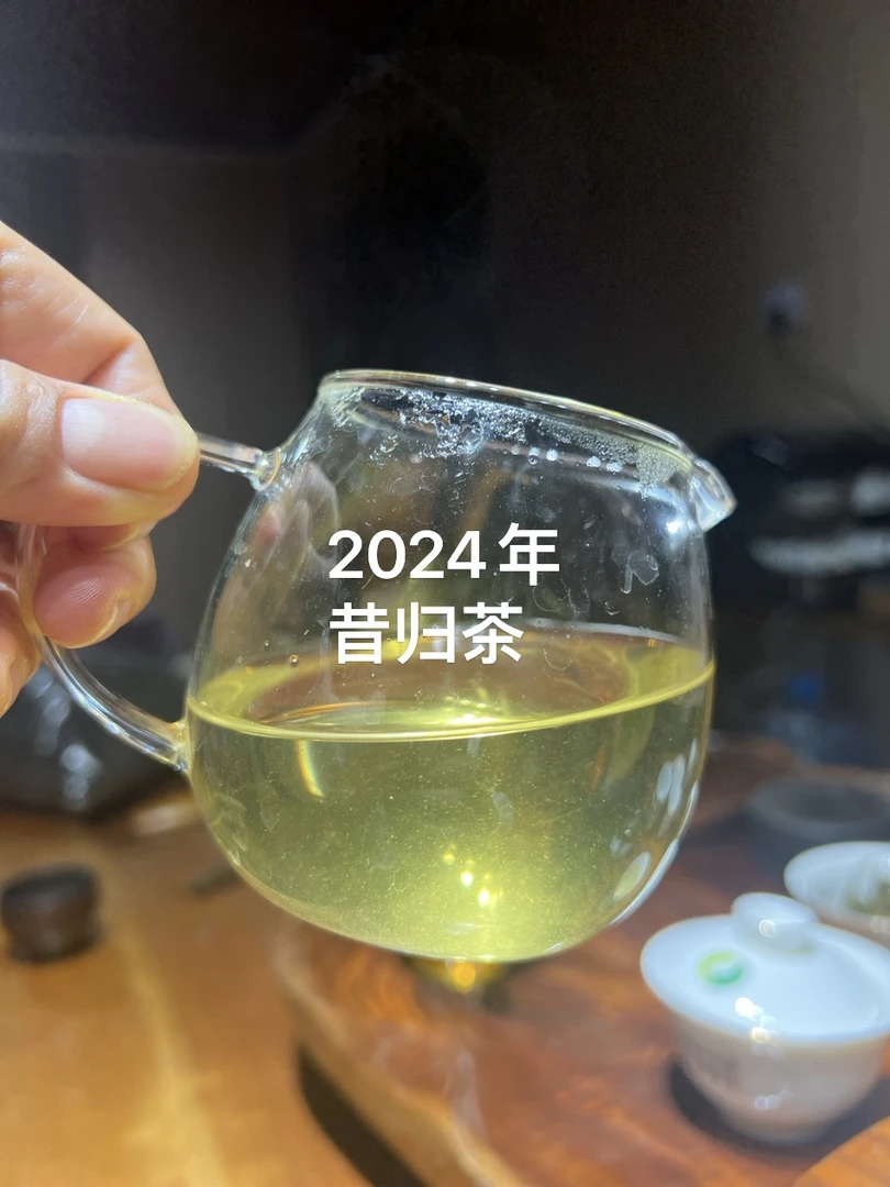 【2025年昔归忙麓山 大树头春料散茶100克.