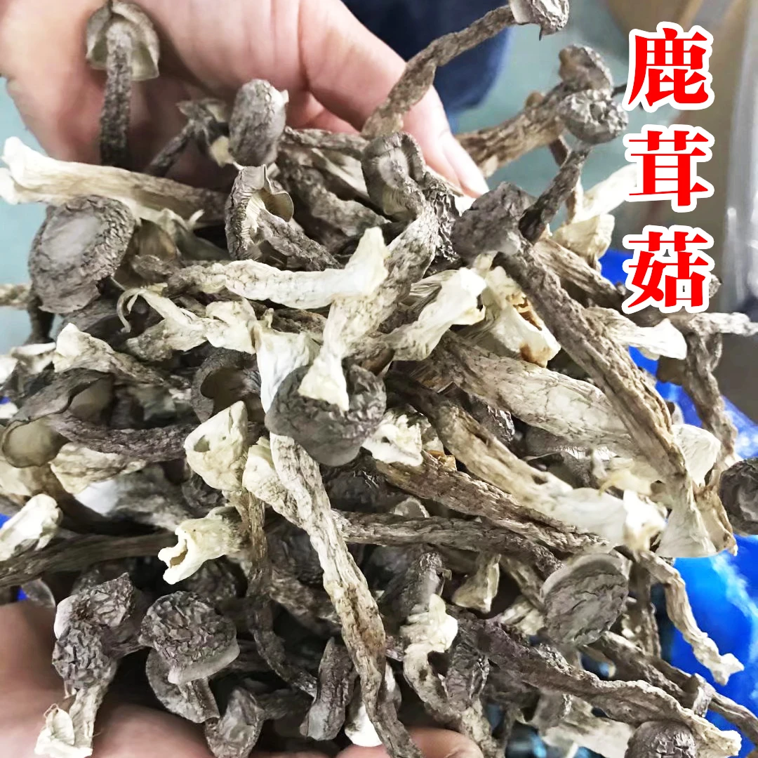 鹿茸菇干货鹿茸菌天然无硫野生菌煲汤精选食用菌菇250g江西特产