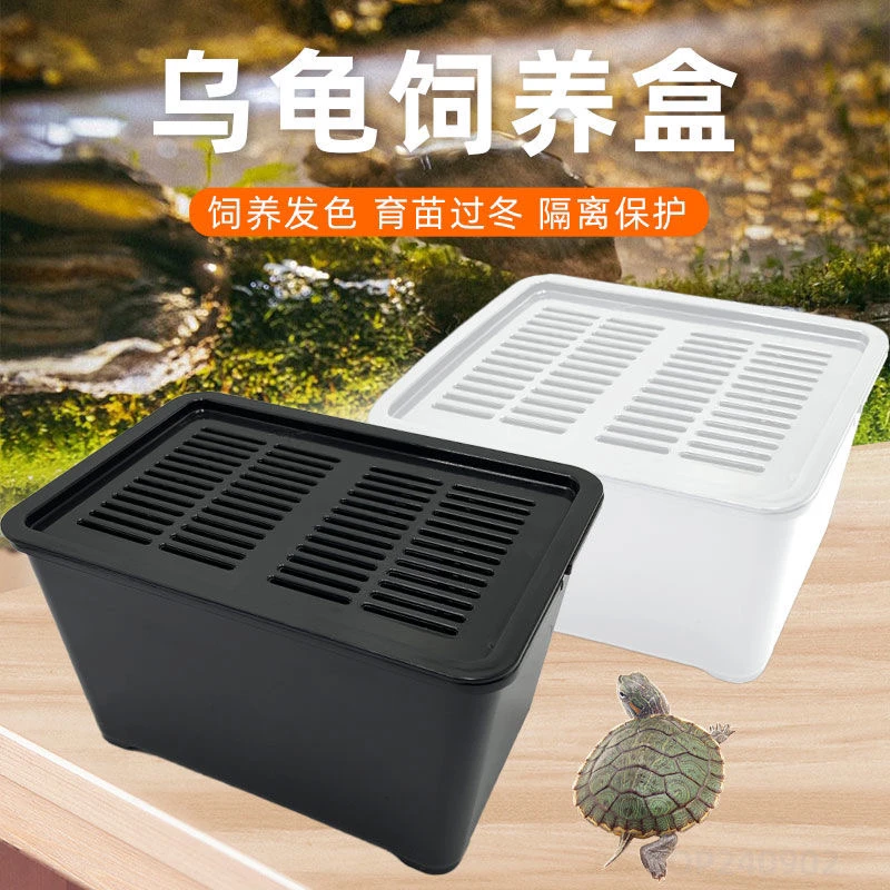 乌龟缸不透明养龟专用盒带盖小龟苗家用隔离发色盒养龟缸学生宿舍