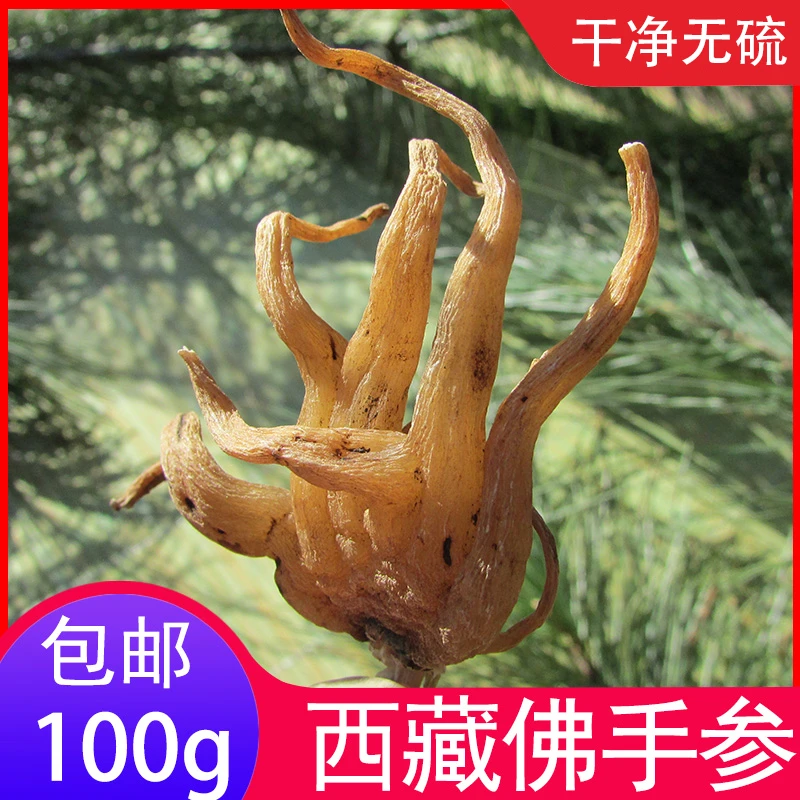 西藏手掌参佛手参藏佛手参农产品100克包邮